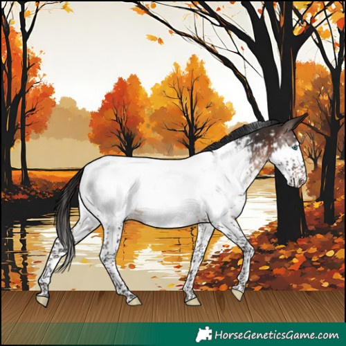 Horse Color:Brown Splash Near Fewspot