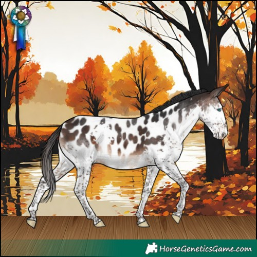 Horse Color:Brown Splash Near Leopard