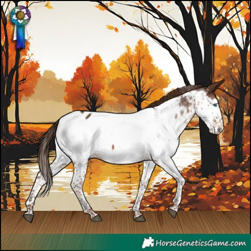 Horse Color:Liver Chestnut Splash Near Fewspot 