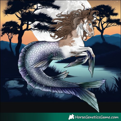 Horse Color:Black Pearl Splash