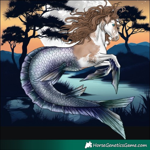 Horse Color:Black Pearl Splash 