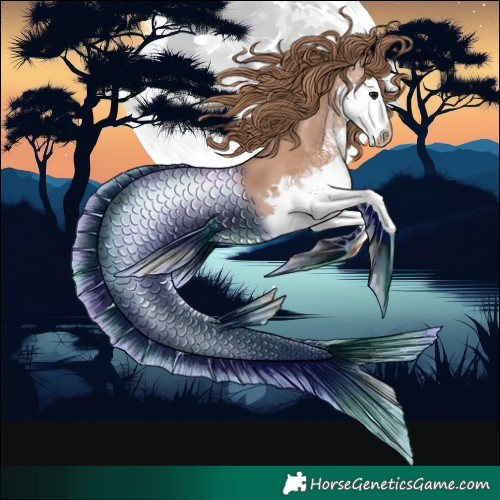 Horse Color:Black Pearl Splash