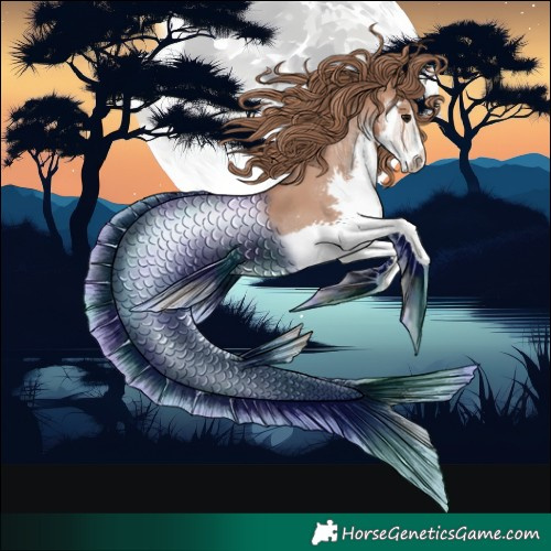 Horse Color:Black Pearl Splash