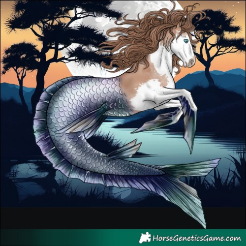 Horse Color:Black Pearl Splash 