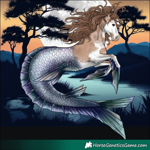 Horse Color:Black Pearl Splash 