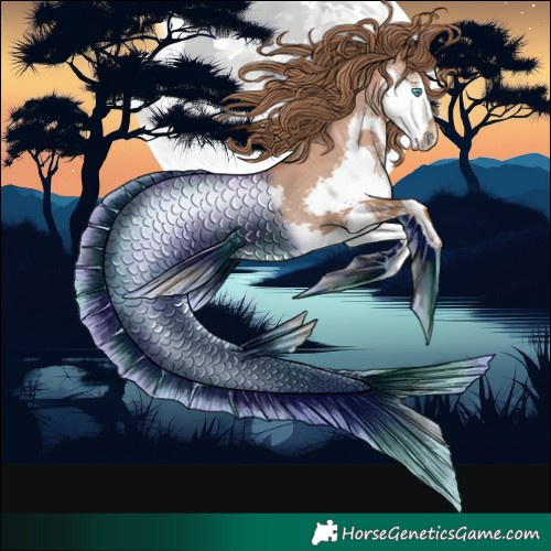 Horse Color:Black Pearl Splash
