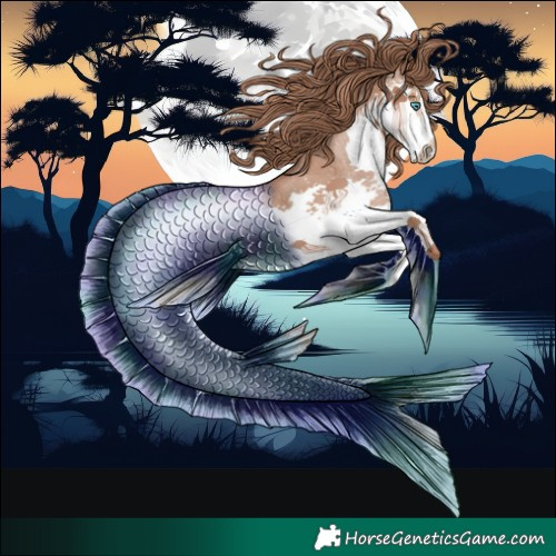 Horse Color:Black Pearl Splash