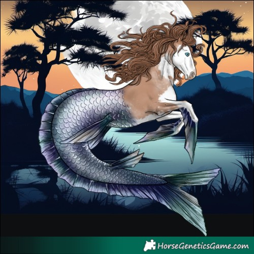 Horse Color:Black Pearl Splash 