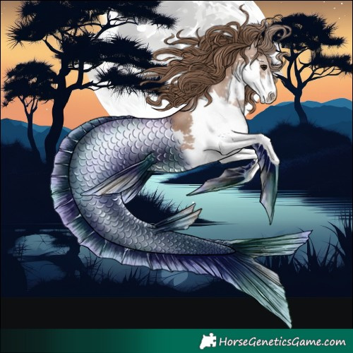 Horse Color:Black Pearl Splash