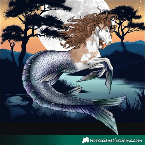 Horse Color:Black Pearl Splash 