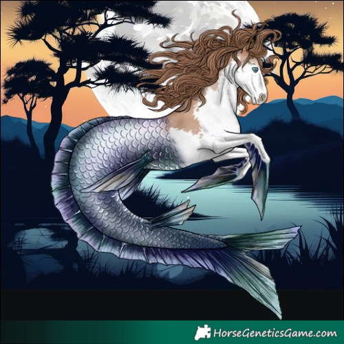 Horse Color:Black Pearl Splash 