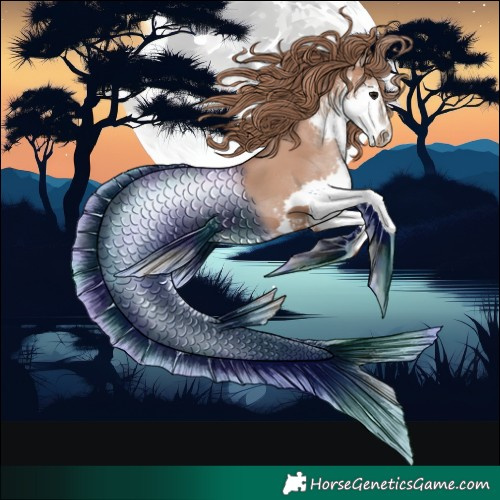 Horse Color:Black Pearl Splash
