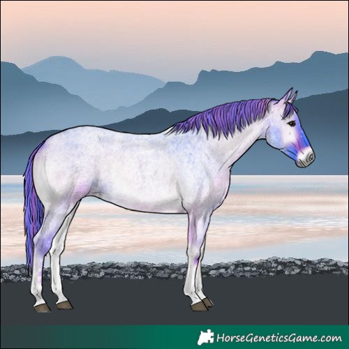 Horse Color:Painted Watercolor Buckskin Roan Onyx Tobiano 