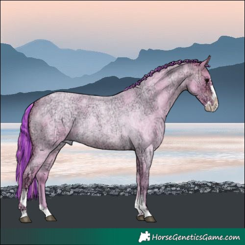 Horse Color:Painted Watercolor Brown Ice Roan Splash Tobiano 