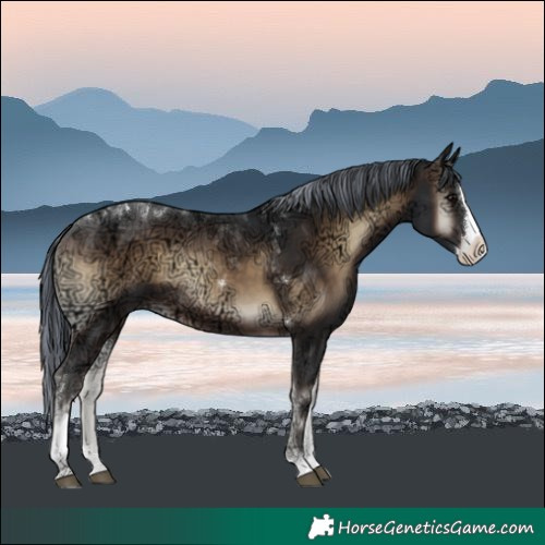 Horse Color:Painted Brown Ice Onyx Splash Tobiano