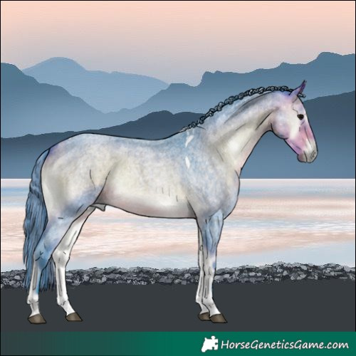 Horse Color:Painted Watercolor Buckskin Roan Onyx Tobiano 