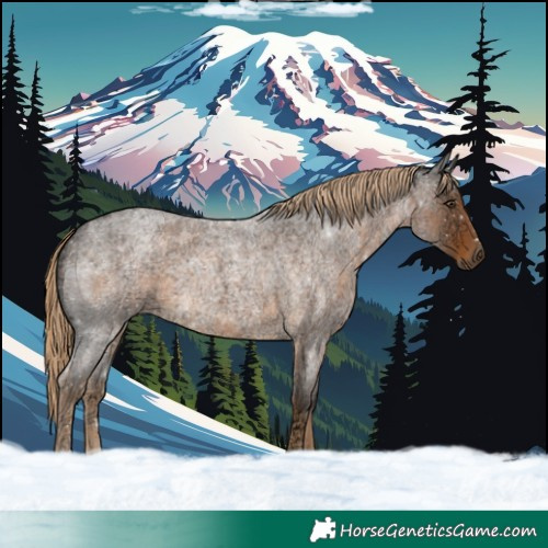 Horse Color:Chocolate Palomino Ice Roan