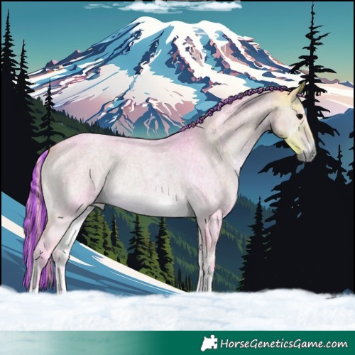 Horse Color:Painted Watercolor Buckskin Roan Onyx Tobiano