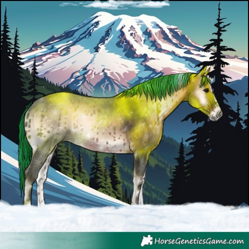 Horse Color:Painted Brown Onyx Splash Tobiano 