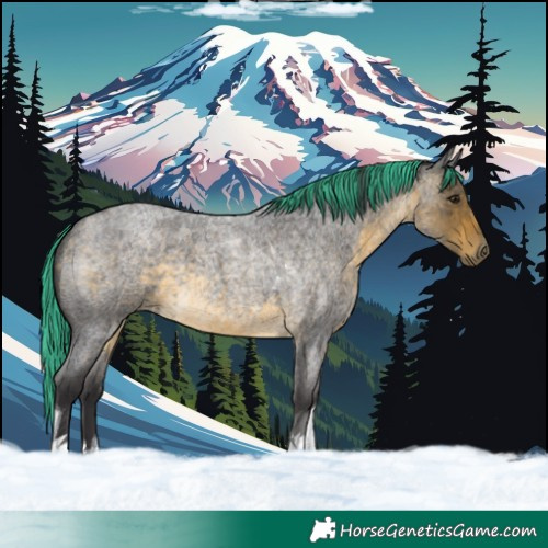 Horse Color:Painted Buckskin Roan Tobiano