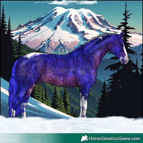 Horse Color:Watercolor Brown Ice Splash Tobiano