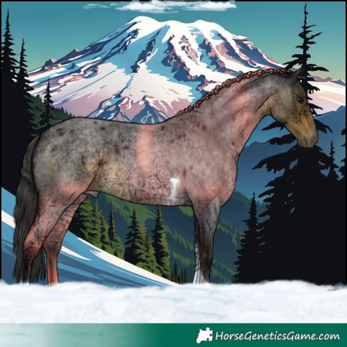 Horse Color:Buckskin Ice Roan Tobiano 