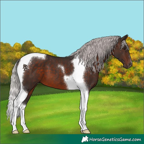 Horse Color:Silver Brown Mushroom Tobiano