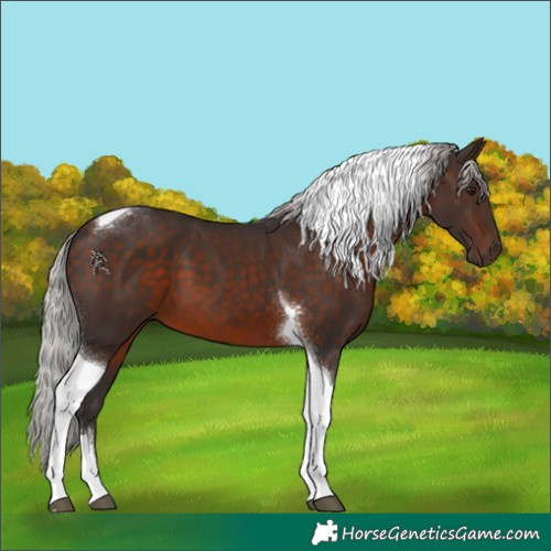 Horse Color:Silver Brown Mushroom Tobiano 