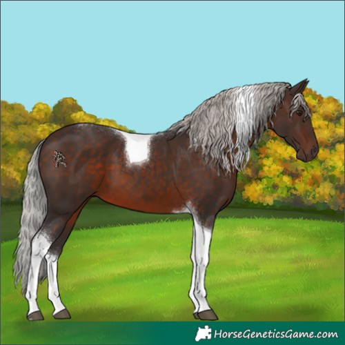 Horse Color:Silver Brown Mushroom Tobiano