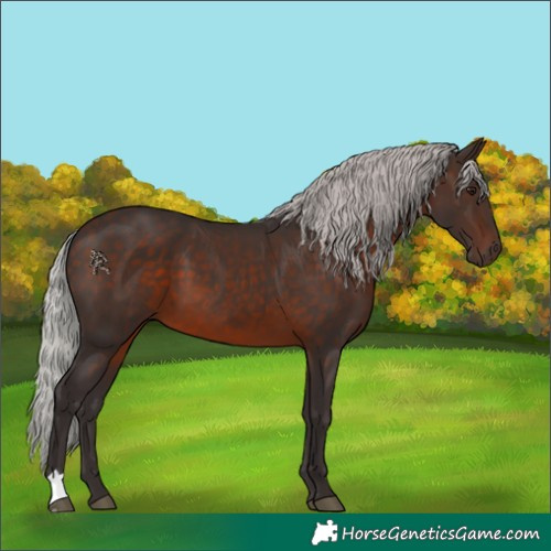 Horse Color:Silver Brown Mushroom
