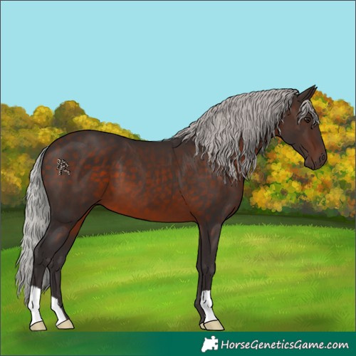 Horse Color:Silver Brown Mushroom 