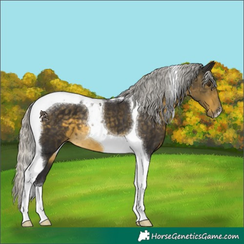 Horse Color:Silver Buckskin Mushroom Tobiano 