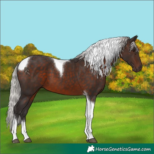 Horse Color:Silver Brown Mushroom Tobiano 