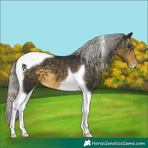 Horse Color:Silver Buckskin Mushroom Tobiano 