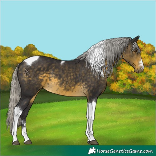 Horse Color:Silver Buckskin Mushroom Tobiano 