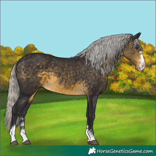 Horse Color:Silver Buckskin Mushroom