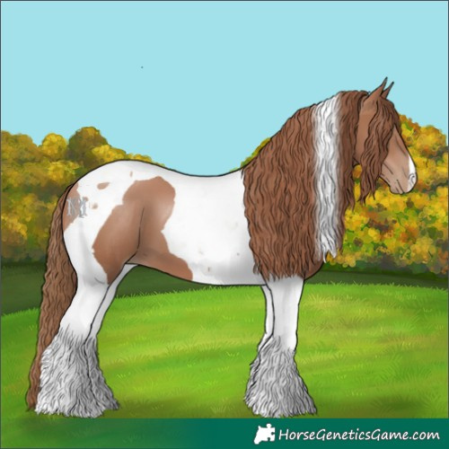 Horse Color:Black Pearl Tobiano