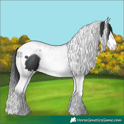 Horse Color:Black Splash Tobiano 