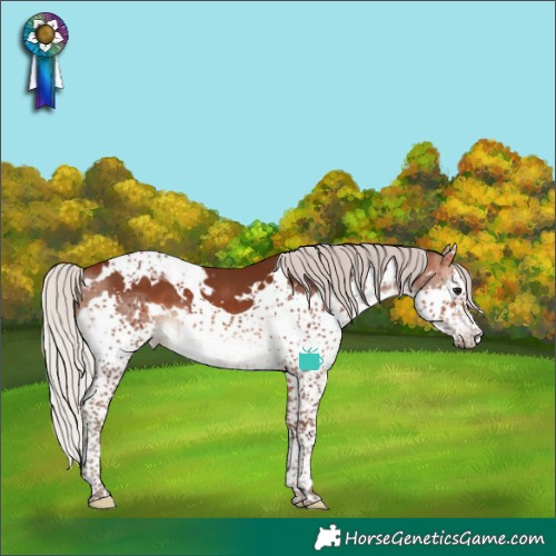 Horse Color:White Spotted Silver Brown Splash Tobiano