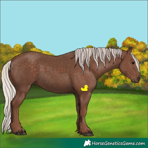 Horse Color:Silver Black