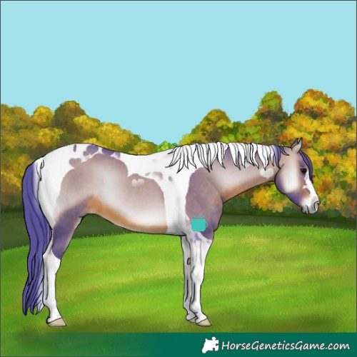 Horse Color:Watercolor Brown Onyx Tobiano 