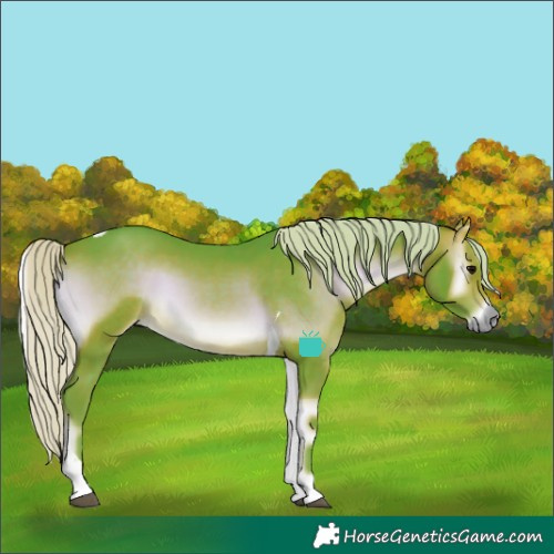 Horse Color:Watercolor Silver Brown Onyx Tobiano