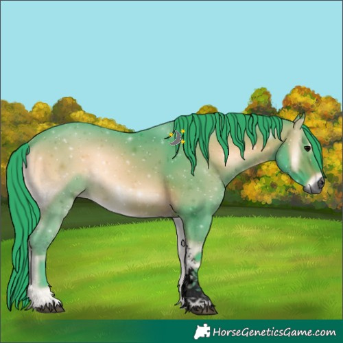 Horse Color:Gray Void Watercolor Bay Onyx Sabino 
