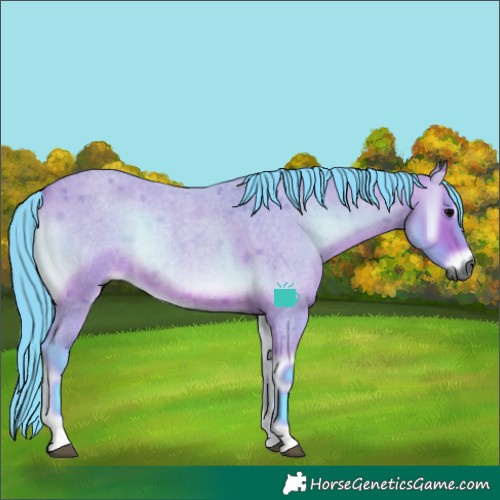 Horse Color:Gray Watercolor Bay Roan Onyx