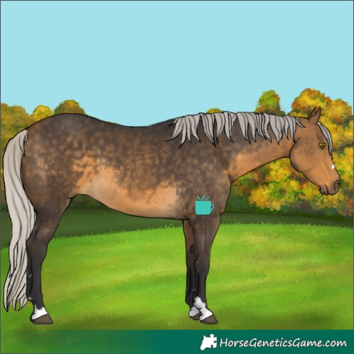 Horse Color:Silver Buckskin