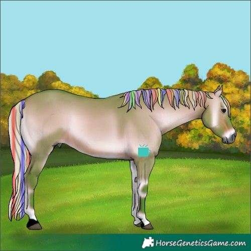 Horse Color:Gray Painted Watercolor Silver Bay Onyx