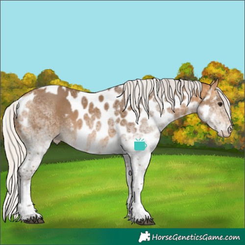Horse Color:White Spotted Silver Buckskin Skewed LP Spotted