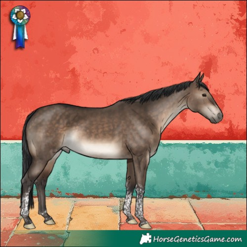 Horse Color:Brown Dun Tobiano Rabicano 