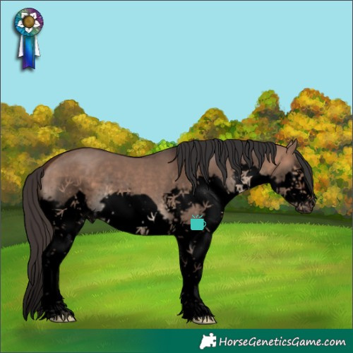 Horse Color:Void Brown Dun Splash Frame