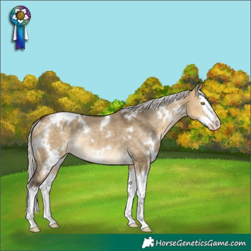 Horse Color:White Spotted Silver Buckskin Dun Splash Varnish Rabicano